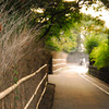 お茶屋敷跡。