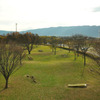 河川敷のスポーツ公園。