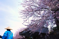 水路を下る。