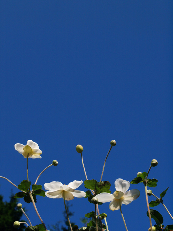 空へ