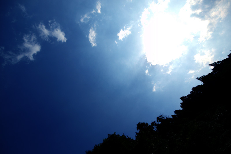 夏空いただきました