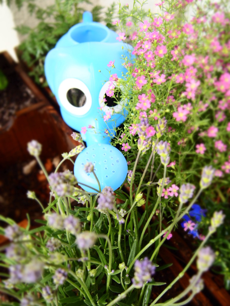 MY が～でん