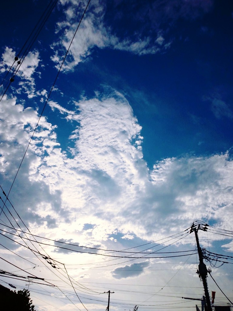 《宇宙・そら》から見た《青空・そら》