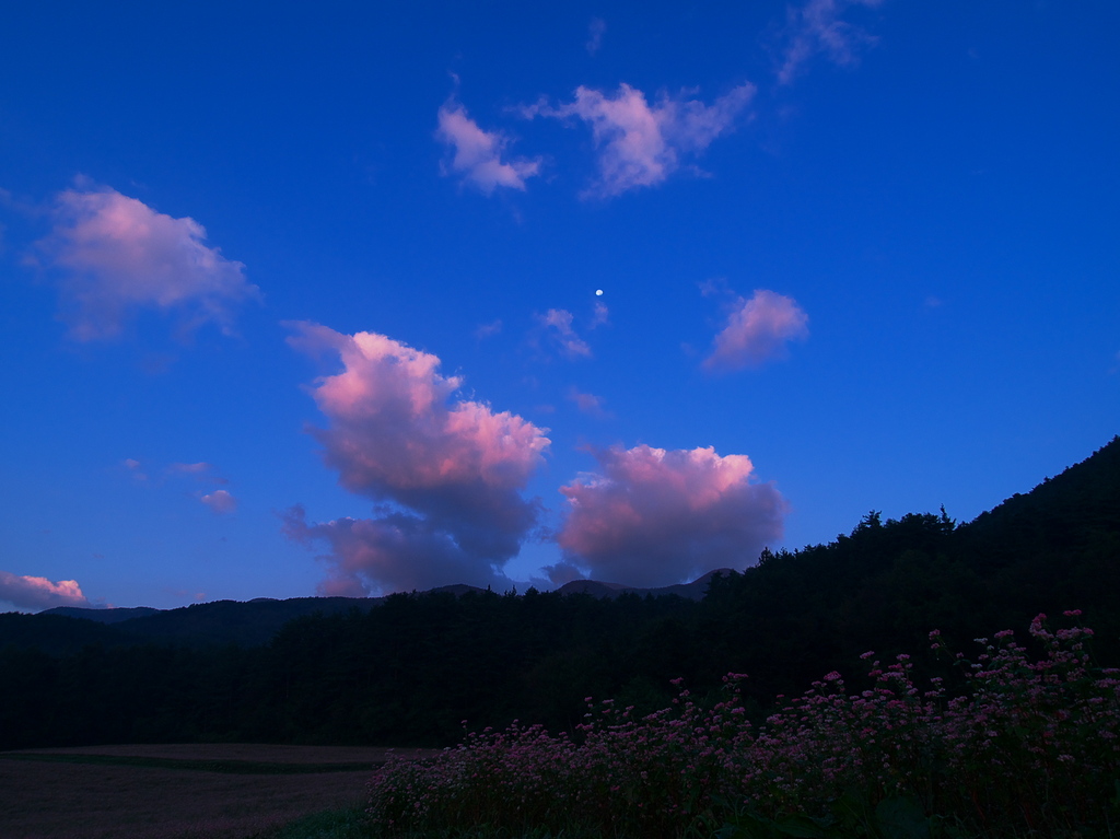 赤蕎麦の夜明けⅡ