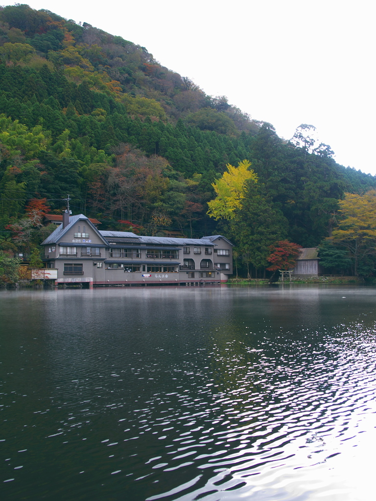 金鱗湖にて