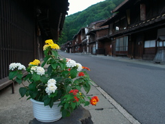 街道にて