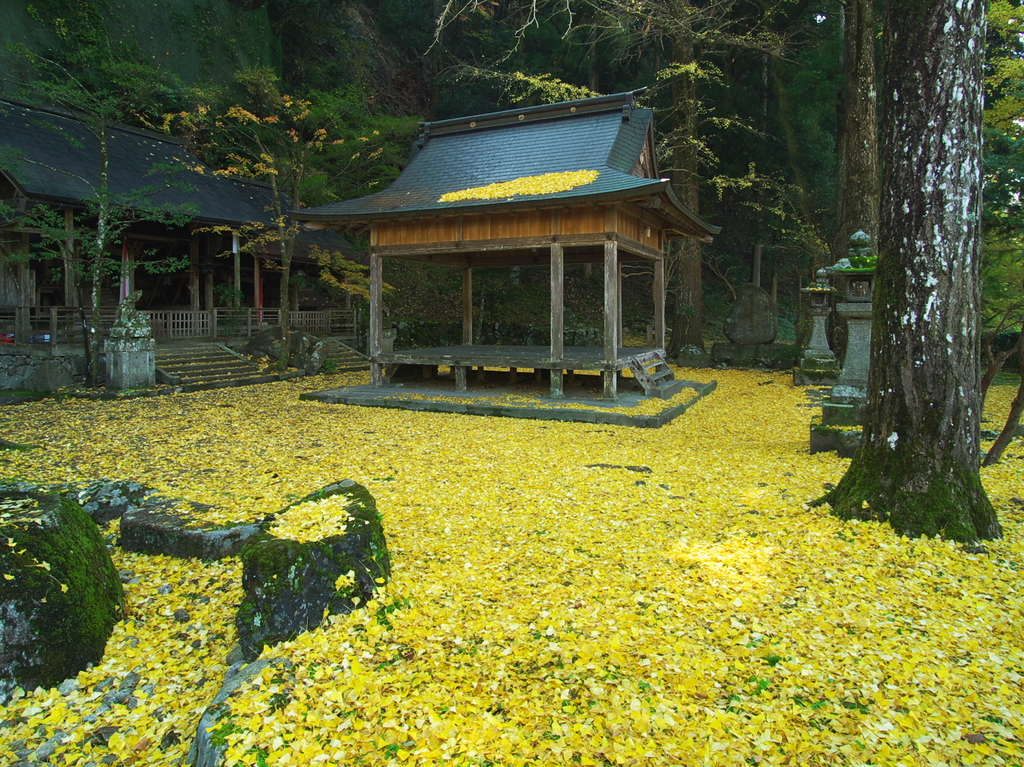 岩戸落葉神社にて