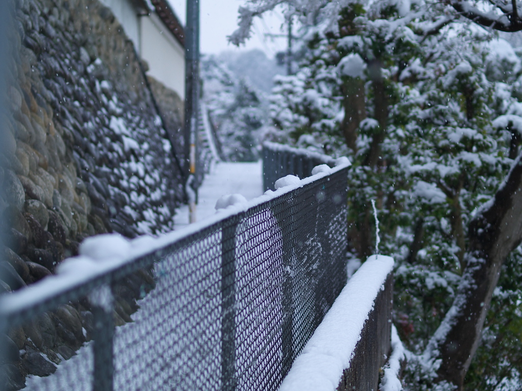 雪の日