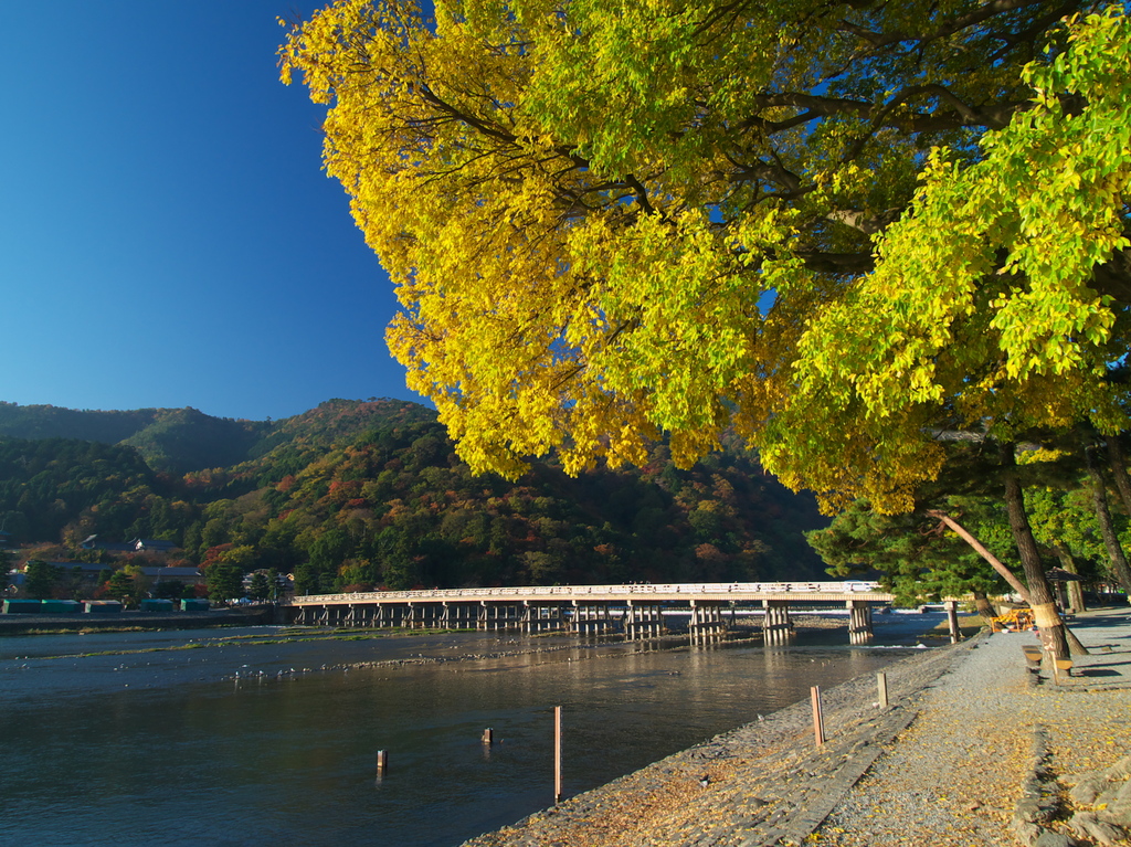 嵐山にて