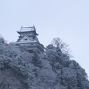 雪の犬山城