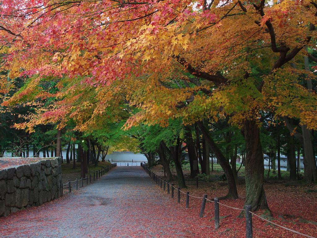 朝の南禅寺にて