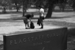 FLAGSTAFF GARDEN