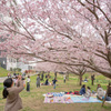 hanami