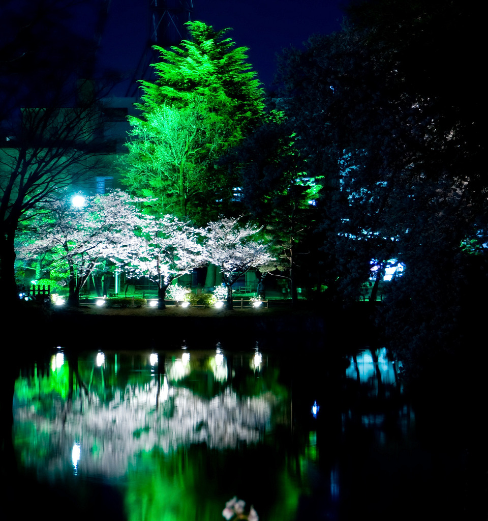 緑桜