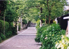 頼朝の墓へ 