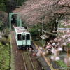 小さな駅Ⅲ