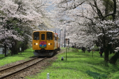 桜トンネル