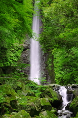 養老の滝