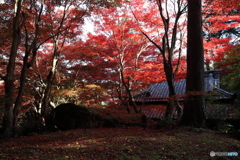 赤の広場