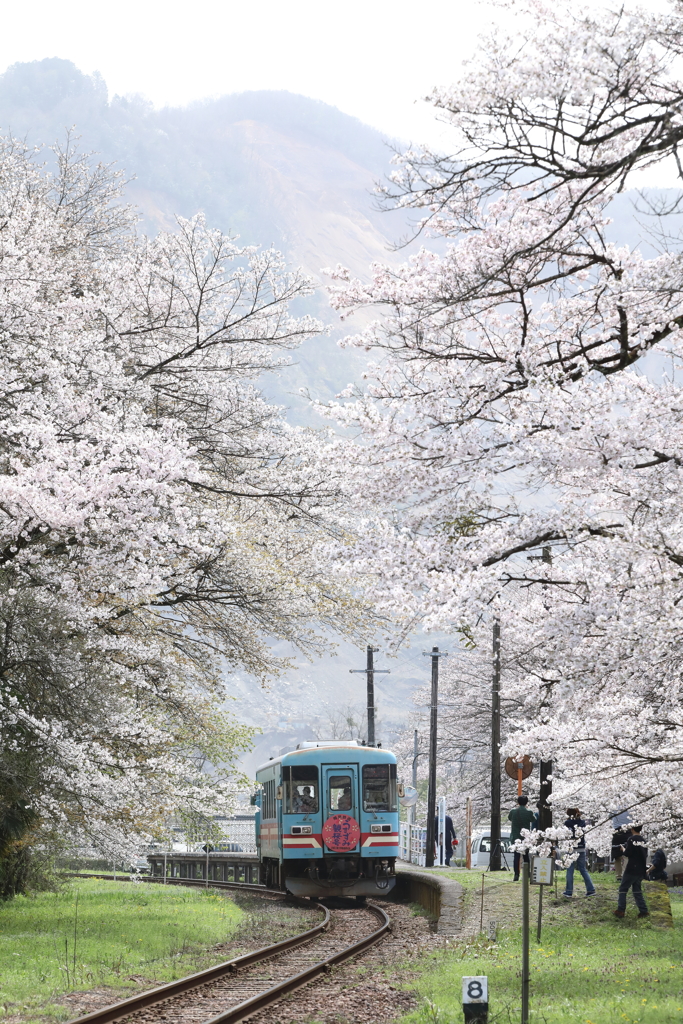 春の日差しを浴びて