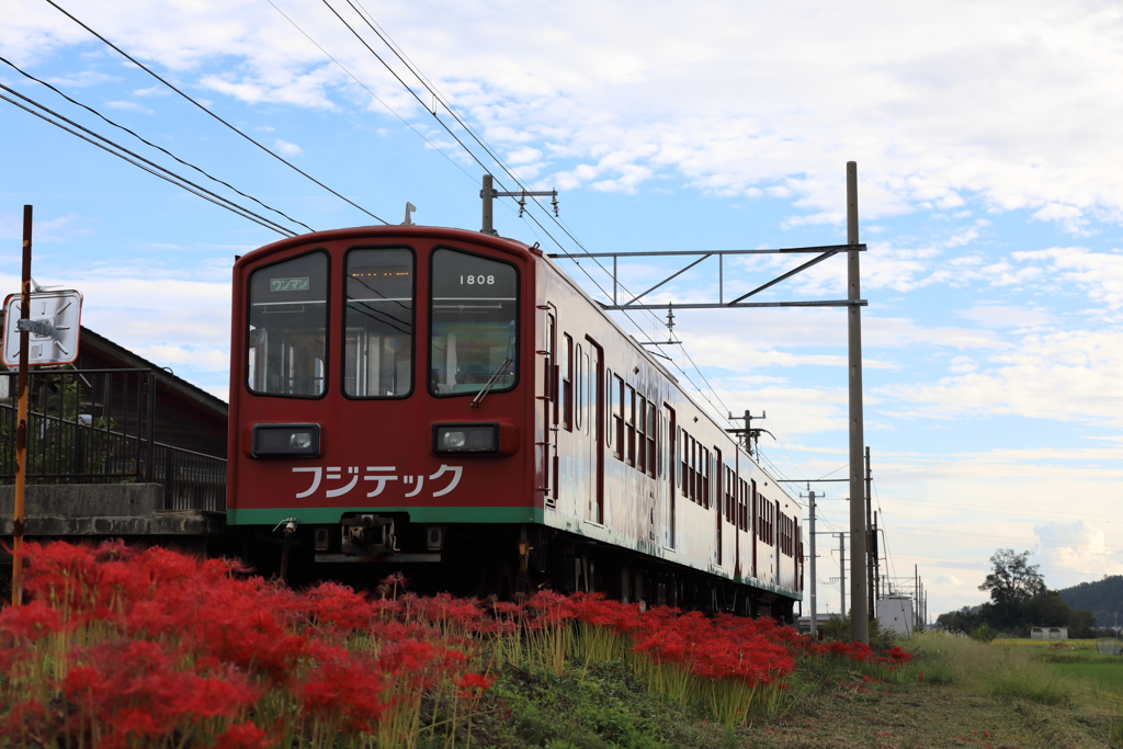 赤に赤