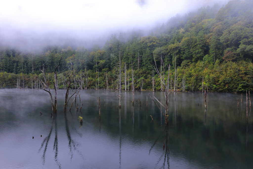 静寂