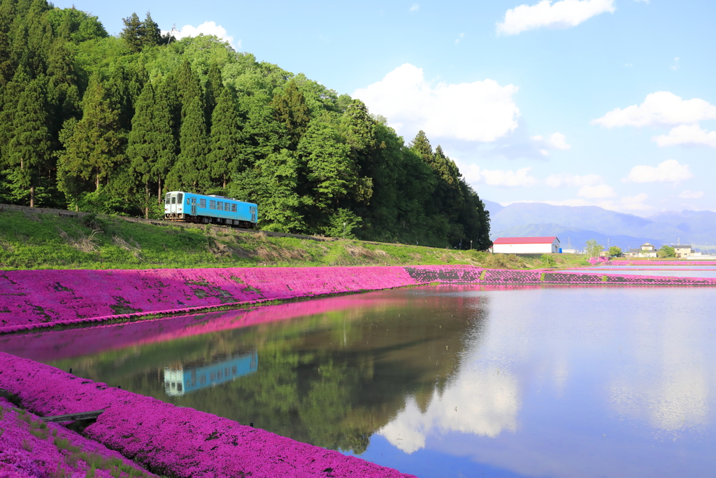 春の陽