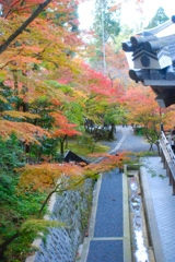 秋の京都・永観堂・禅林寺-57-D8-257