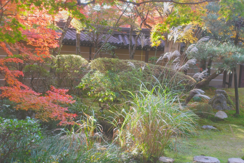 秋の京都・永観堂・禅林寺-37-D8-237