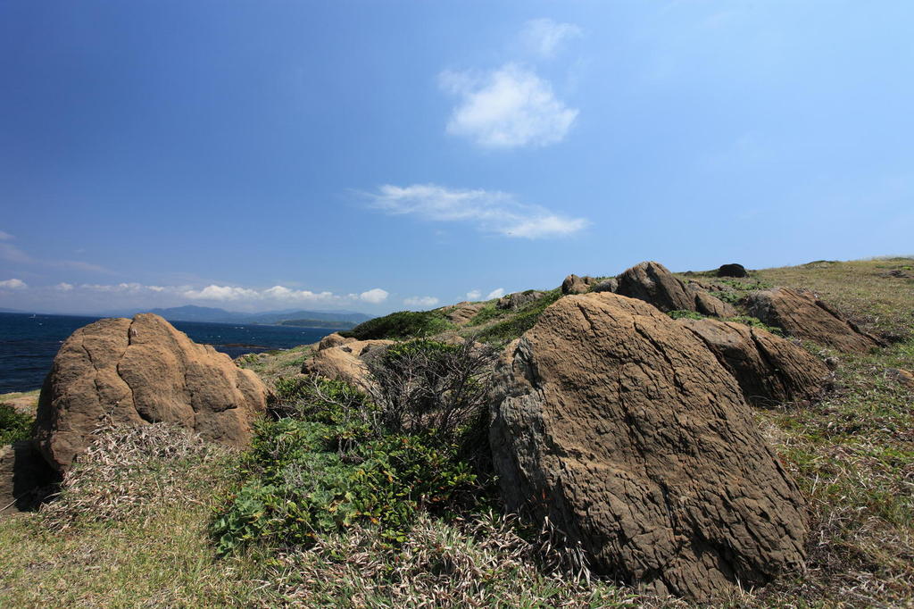 原野