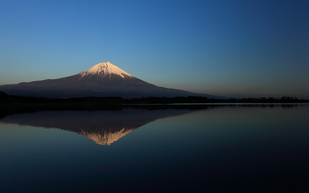 シンメトリ