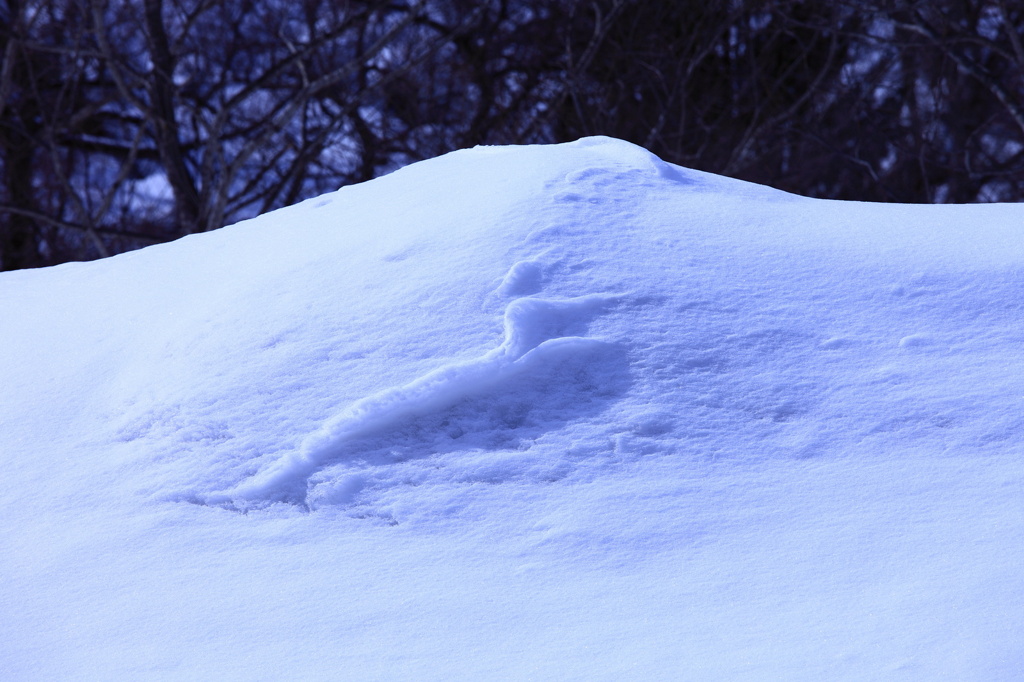 雪富士