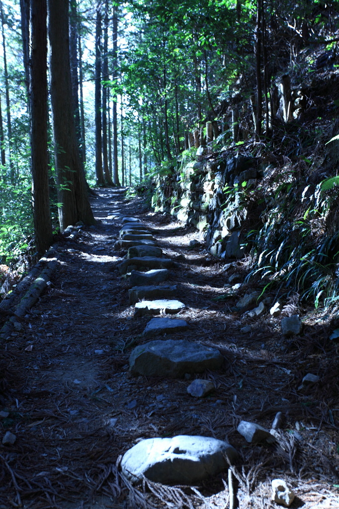 熊野古道(2)