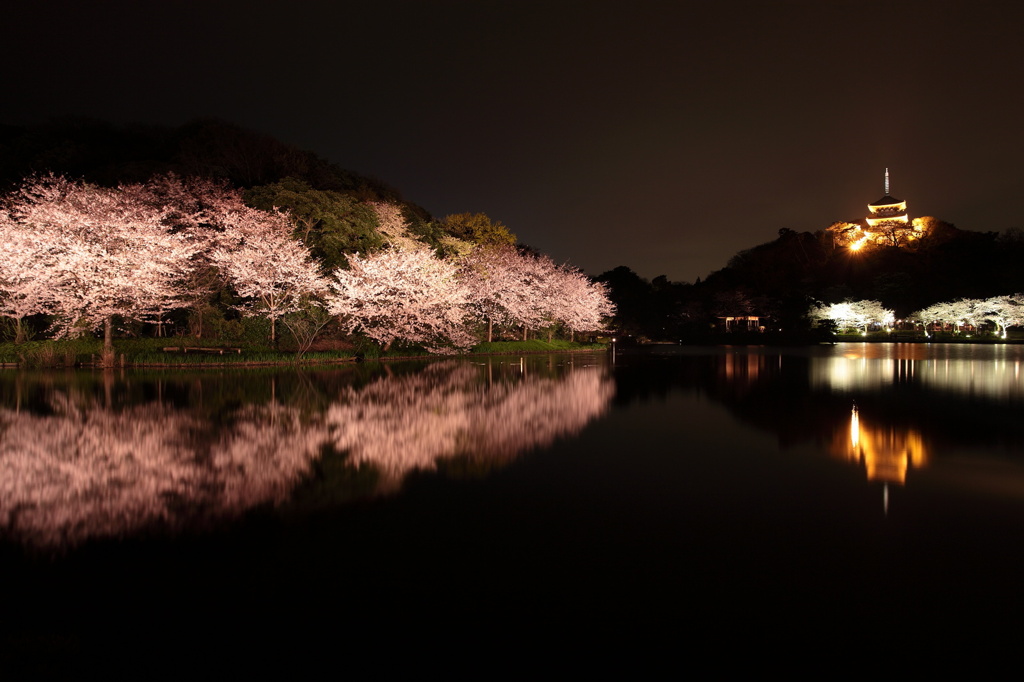 三渓園2010（２）