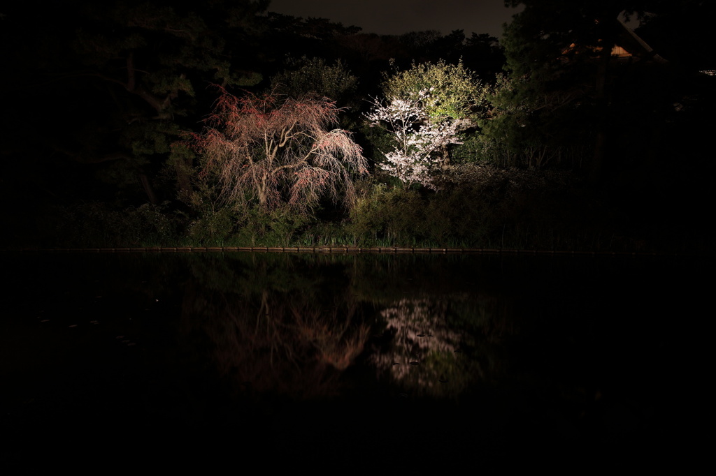 三渓園2010（４）