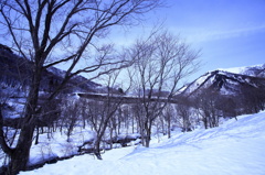 冬の山道