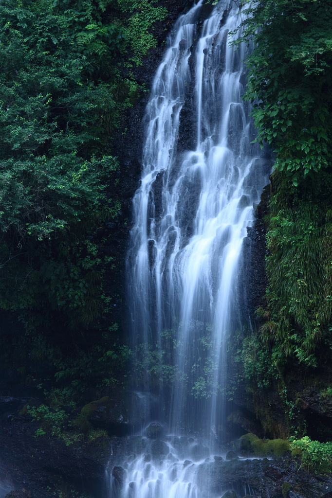 白糸の滝（９）