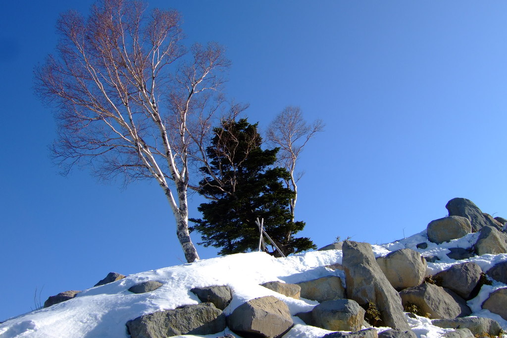 雪山の山頂で