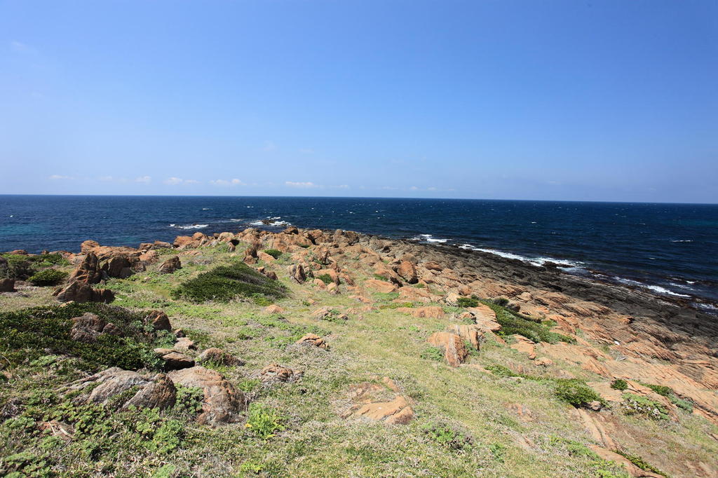 原野