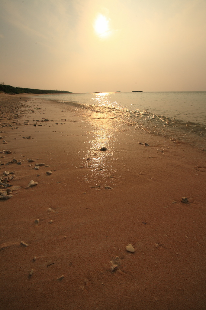 物寂しげな海岸