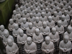 増殖中