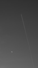 4月25日