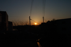 夕日