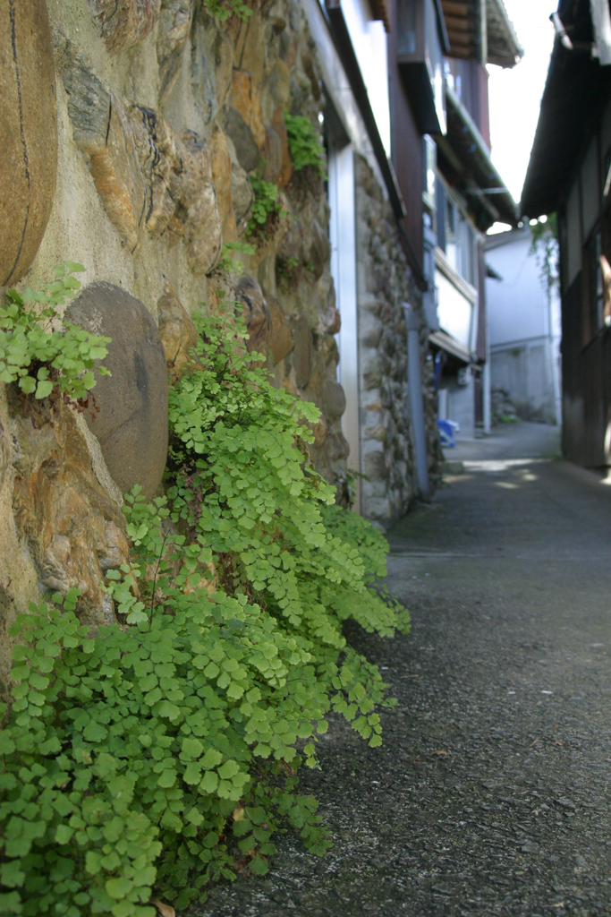 小道