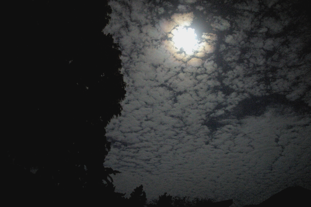月と鰯雲