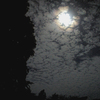 月と鰯雲