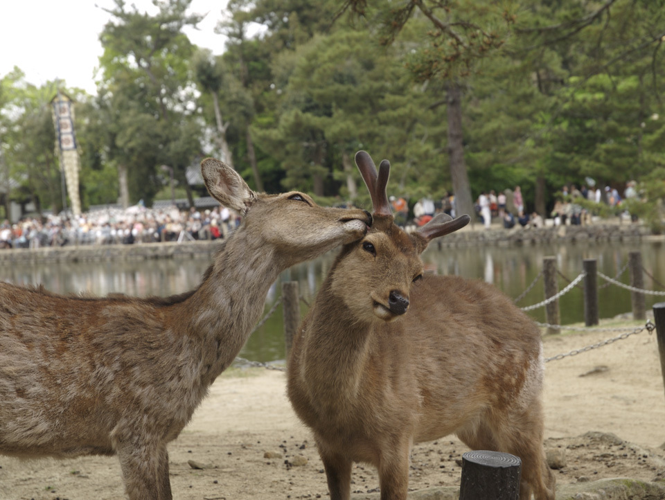 ふたりは仲良し