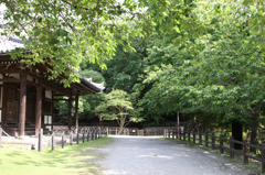 東大寺・大湯屋と緑もみじ