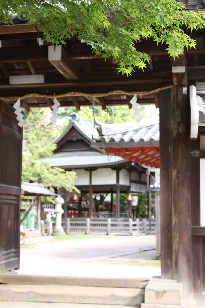 手向山八幡宮