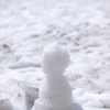 夏の雪だるま